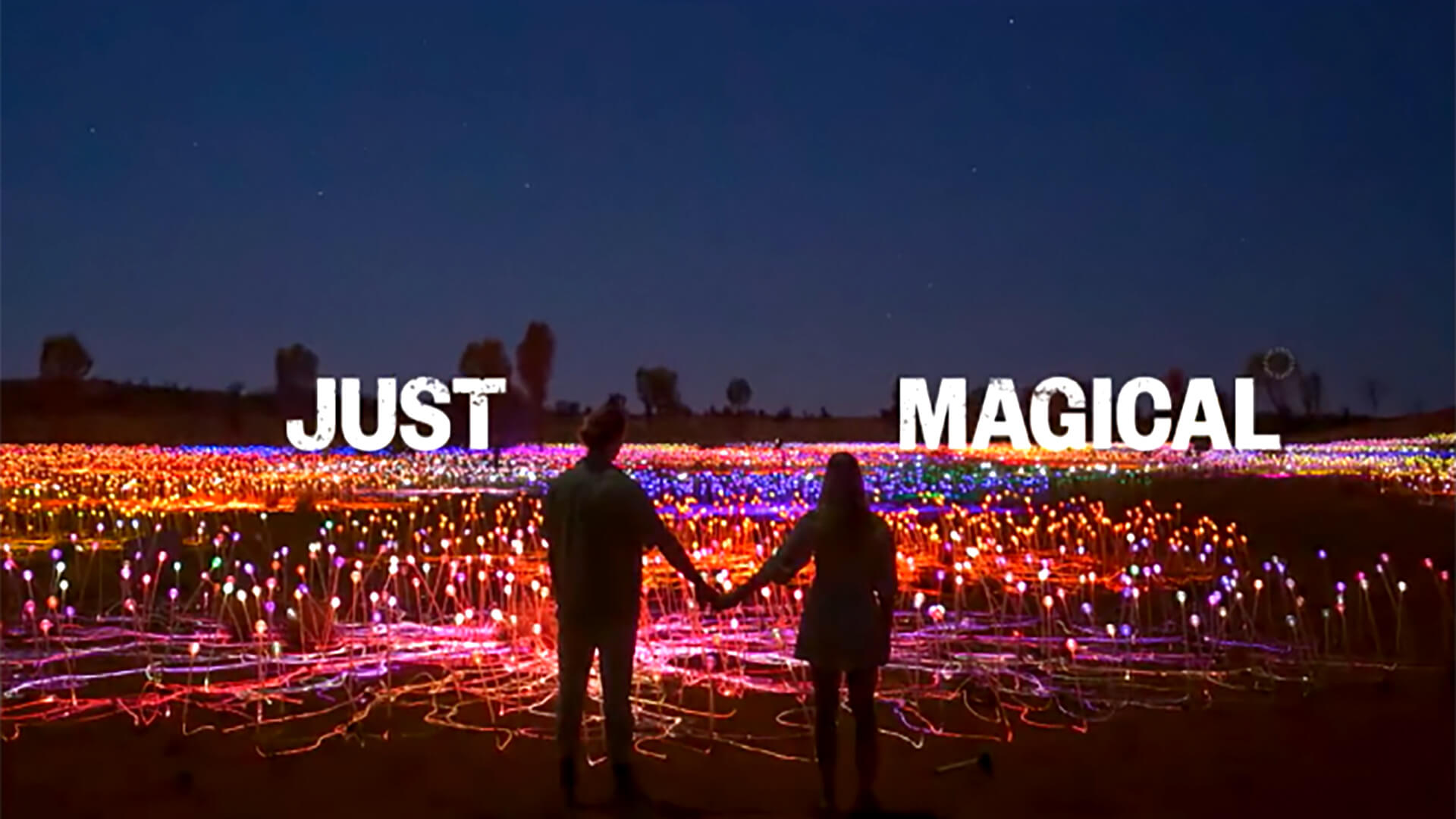 a couple holding hands in front of a field of lights