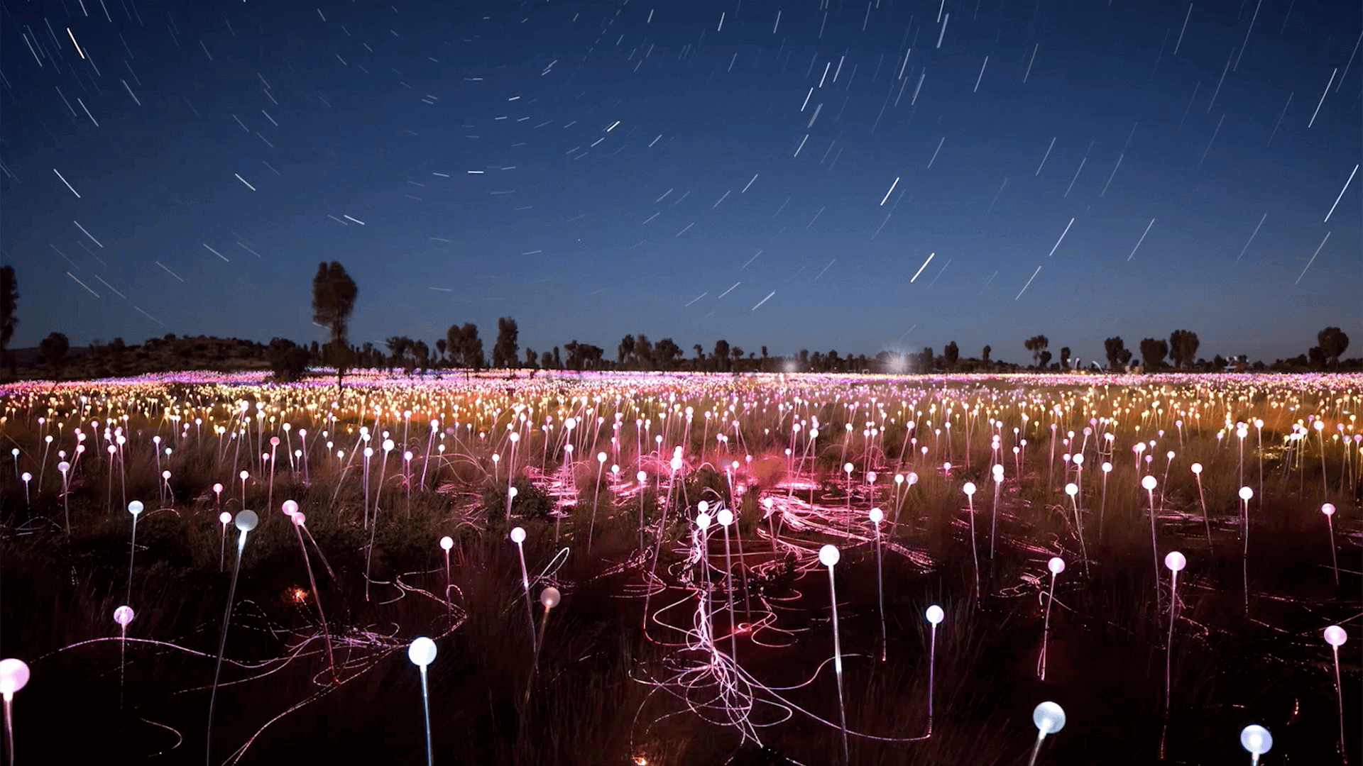 Voyages 'Just Wow' Uluru Ayers Rock Resort campaign featuring Field of Light